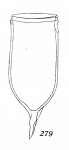 Favella panamensis Kofoid & Campbell, 1929