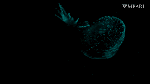 Bathydevius caudactylus Robison & Haddock, 2024