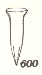 Amphorellopsis acantharus Kofoid & Campbell 1929