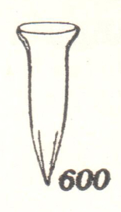 Amphorellopsis acantharus Kofoid &amp; Campbell 1929