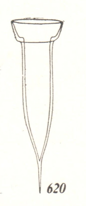 Ormosella apsteini Kofoid &amp; Campbell, 1929