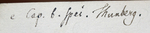Handwritten label of the lectotype of Carex lancea UPS-THUNB1350