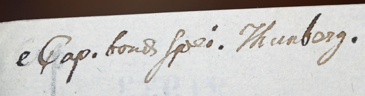 Handwritten label of the lectotype of Carex spartea UPS-THUNB21933
