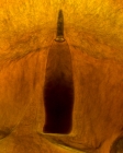 Stylet apparatus