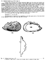 Cythereis hazeli Bold, 1946 from the original description