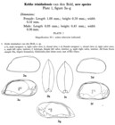 Krithe trinidadensis Bold, 1958 from original description