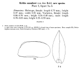 Krithe saundersi Bold, 1960 from original description