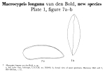 Macrocyprididae