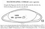 Macropyxis gyreae Maddocks, 1990 from the original description