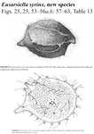 Eusarsiella syrinx Kornicker, Iliffe & Harrison-Nelson, 2007 from the original description