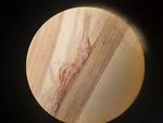 Leaf sheath of type