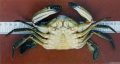 Crustacea (crustaceans)