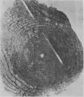Discocyclina trabayensis Neumann, 1955