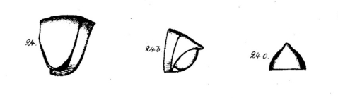 Spirobolus laeticollis
