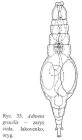Adineta gracilis