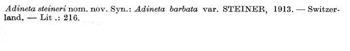 Adineta steineri - Original description image