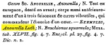 Anourella luth - Original description image