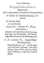 Anuraea aculeata - Original description image