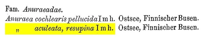 Anuraea aculeata resupina - Original description image