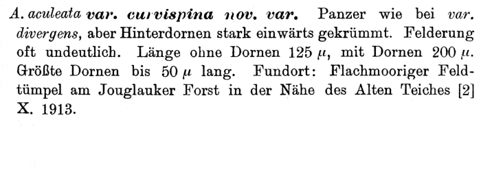 Anuraea aculeata var. curvispina - Original description image