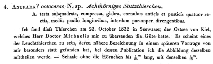 Anuraea octoceras - Original description image