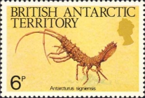 Antarcturus signiensis