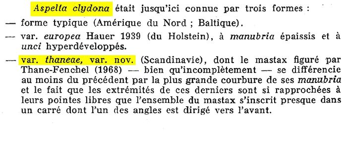 Aspelta clydona var. thaneae - Original description image