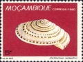 Mollusca (molluscs)