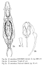 Aspelta secreta