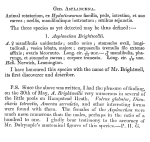 Asplanchna brightwellii - Original description image