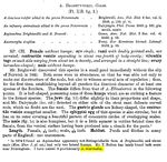 Asplanchna intermedia - Original description image