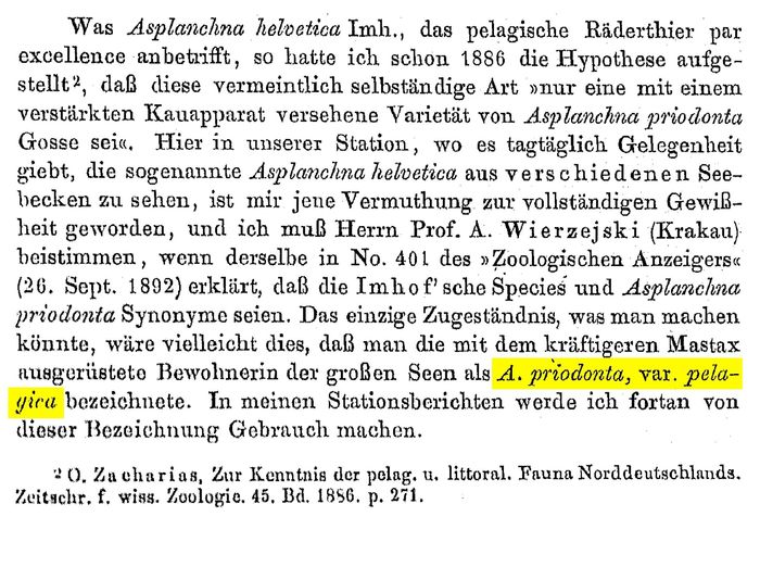 Asplanchna priodonta var. pelagica - Original description image