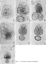 Brachionus angularis pseudokeikoa - Original description image