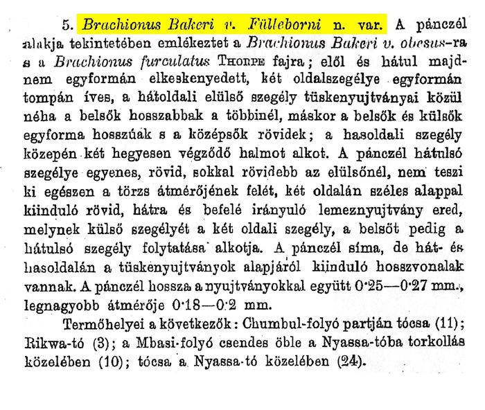 Brachionus bakeri var. fuelleborni - Original description image