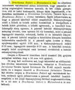 Brachionus bakeri var. michaelseni - Original description image