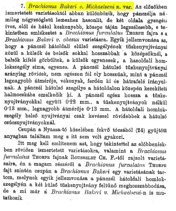 Brachionus bakeri var. michaelseni - Original description image