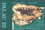 Cassis rufa