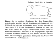 Brachionus calyciflorus f. anuraeiformis