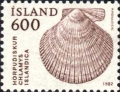 Chlamys islandica