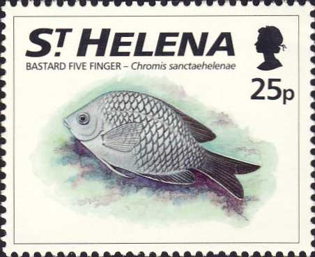 Chromis sanctaehelenae