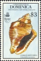 Mollusca (molluscs)