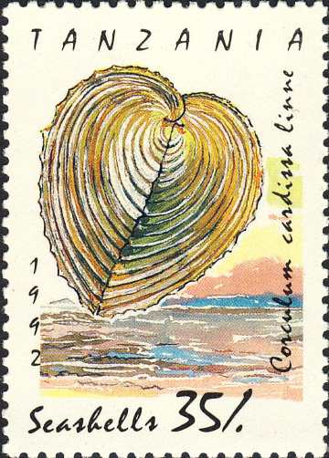 Corculum cardissa Corculum cardissa