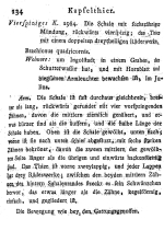 Brachionus quadricornis - Original description image