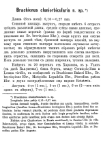 Brachionus quadridentatus f. cluniorbicularis - Original description image