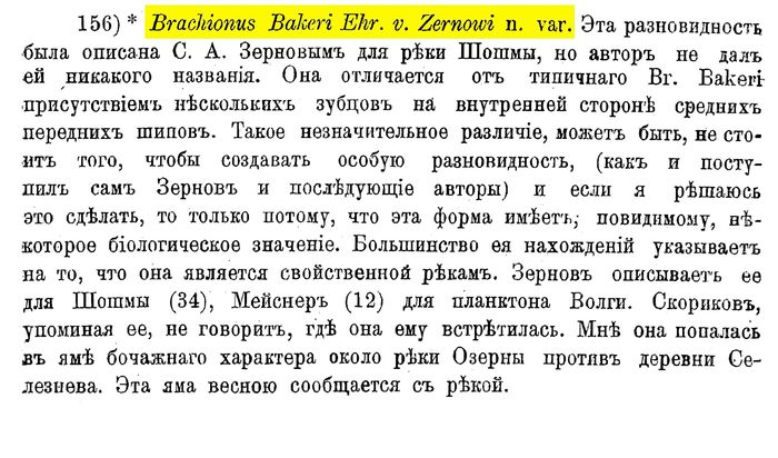 Brachionus quadridentatus var. zernowi - Original description image