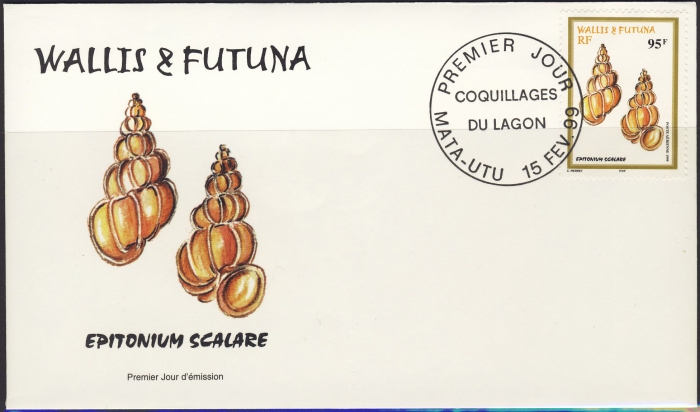Epitonium scalare Epitonium scalare