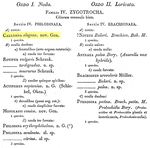 Callidina elegans - Original description image