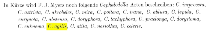 Cephalodella agilis - Original description image