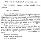 Cephalodella auriculata - Original description image