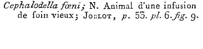 Cephalodella foeni - Original description image